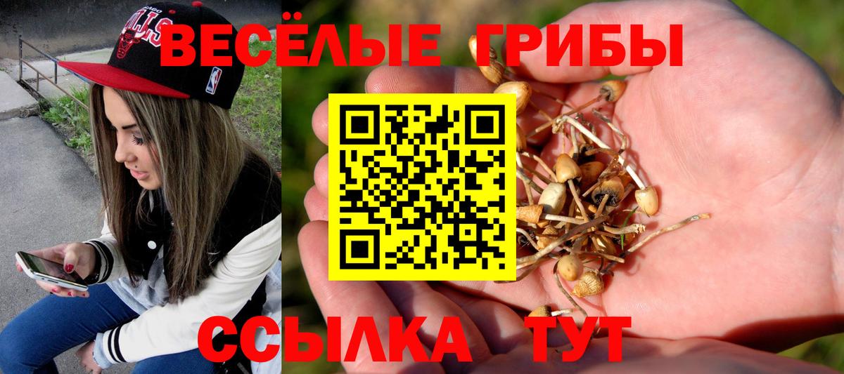 Галлюциногенные грибы ЛСД  Вход с VPN  Заводоуковск 